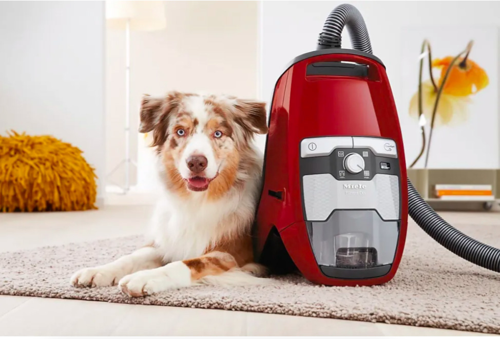 Miele SKRC5 Blizzard CX1 PowerLine Cat Dog