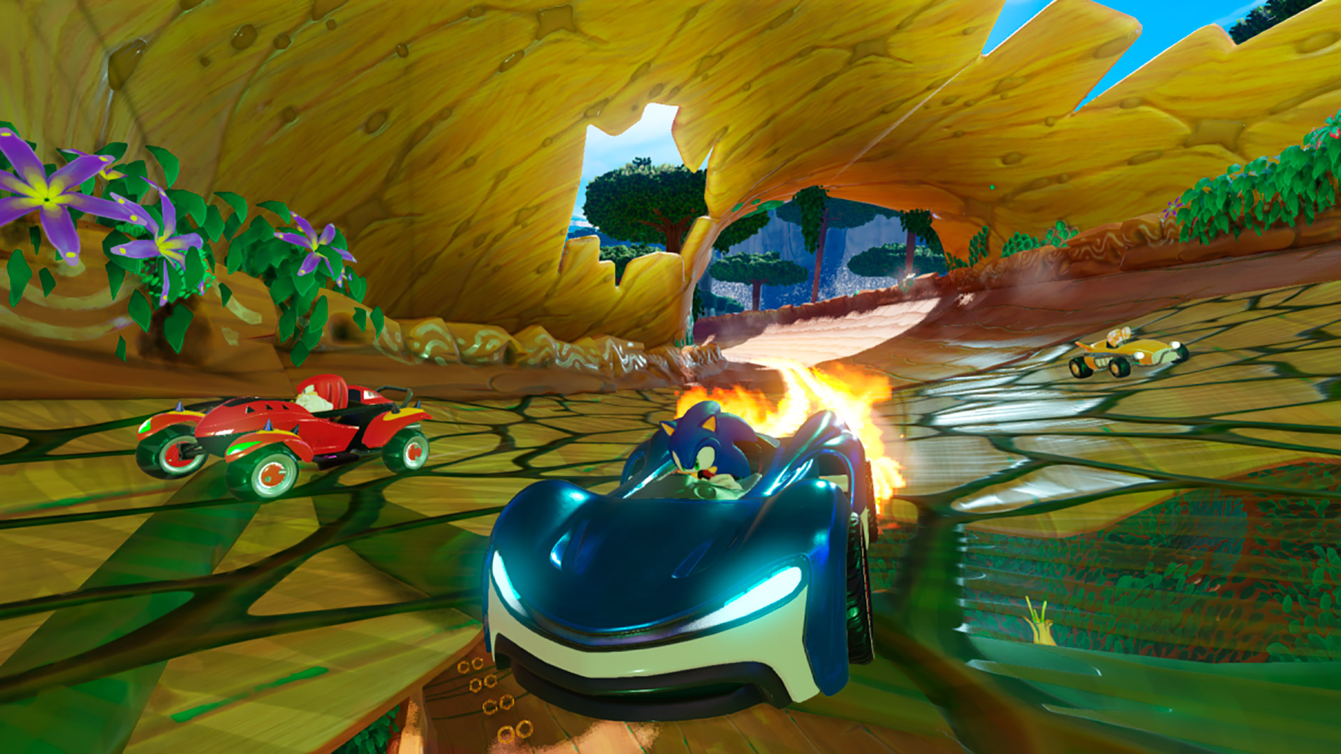 Sonic team игры. Игры Team Sonic Racing. Sonic Racing ps4. Игра Team Sonic Racing ps4. Team Sonic Racing [Xbox one].