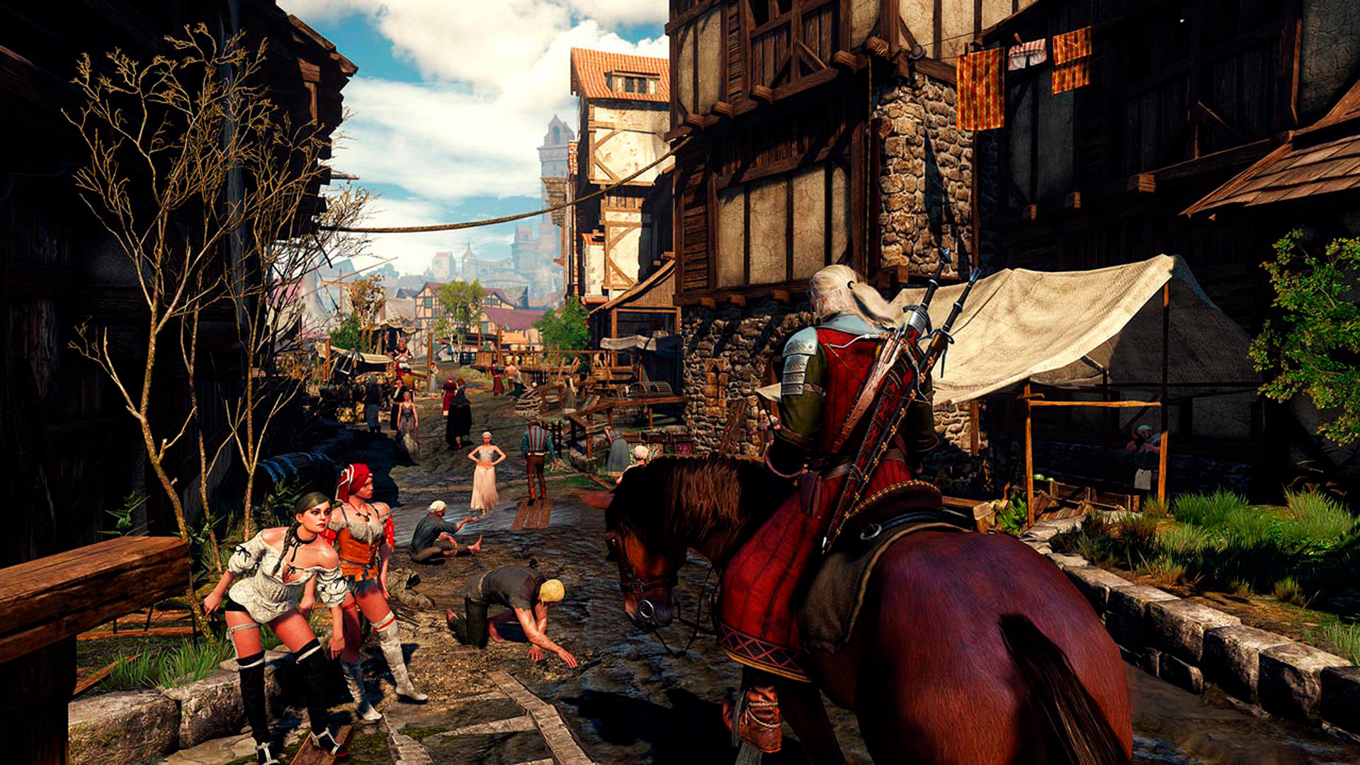 The witcher 3 for pc фото 72
