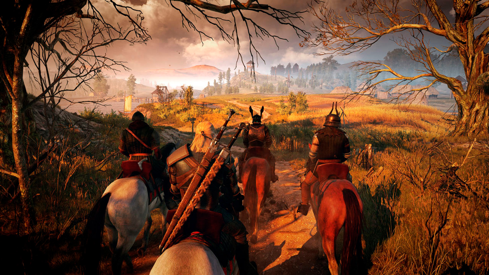 The witcher 3 pc edition фото 71